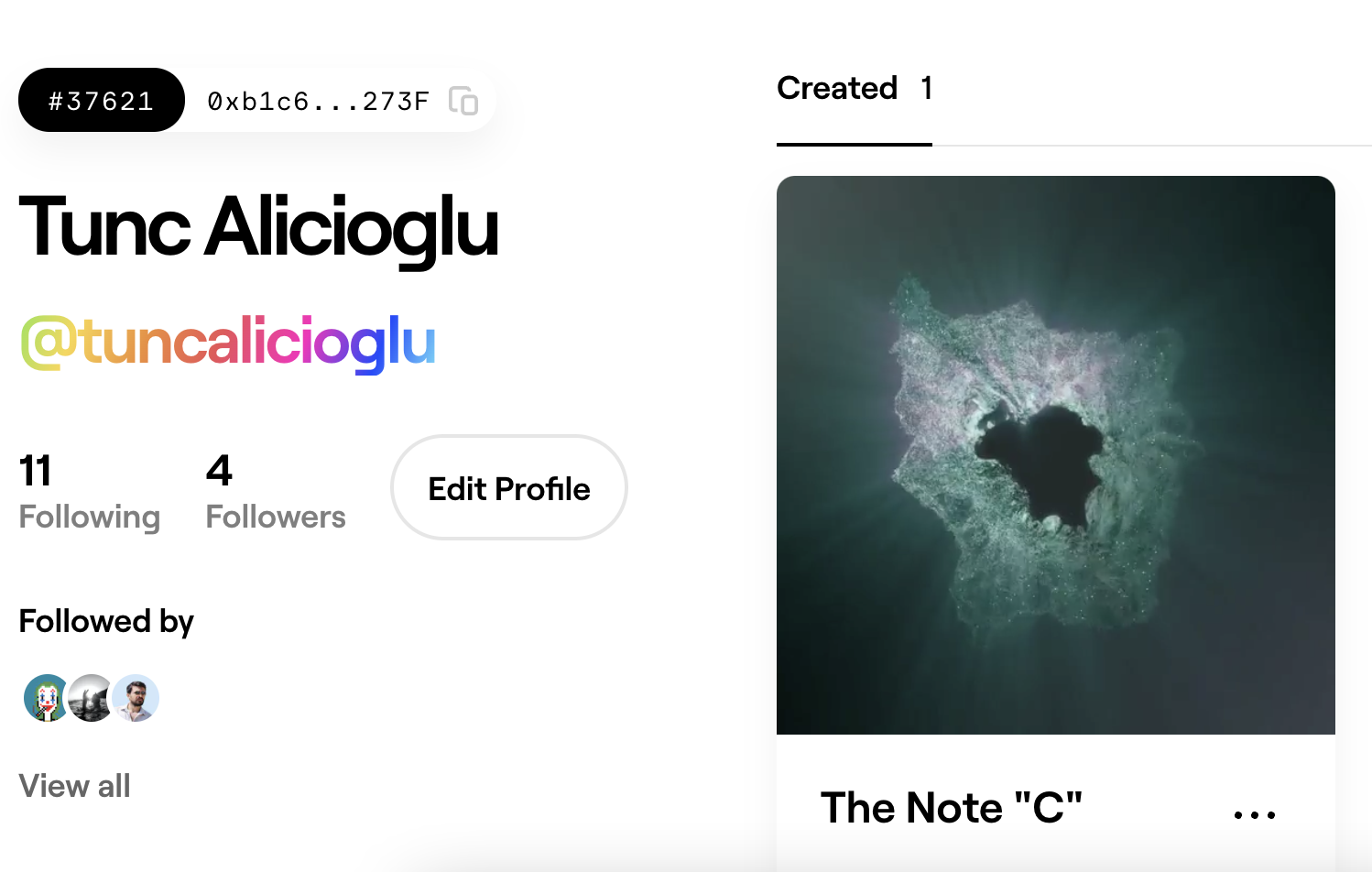 Foundation portfolio